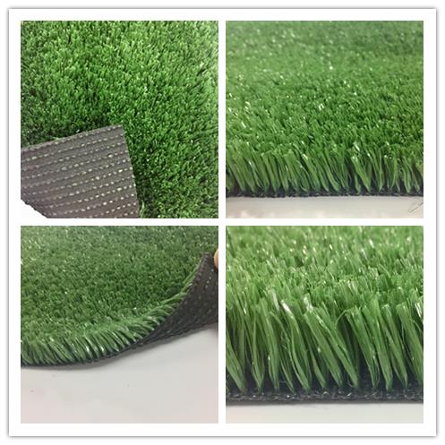 grass for landscaping 14