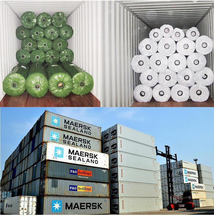 jiangsen bungkusan tiruan .jpg