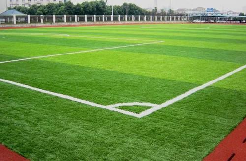 sports field turf