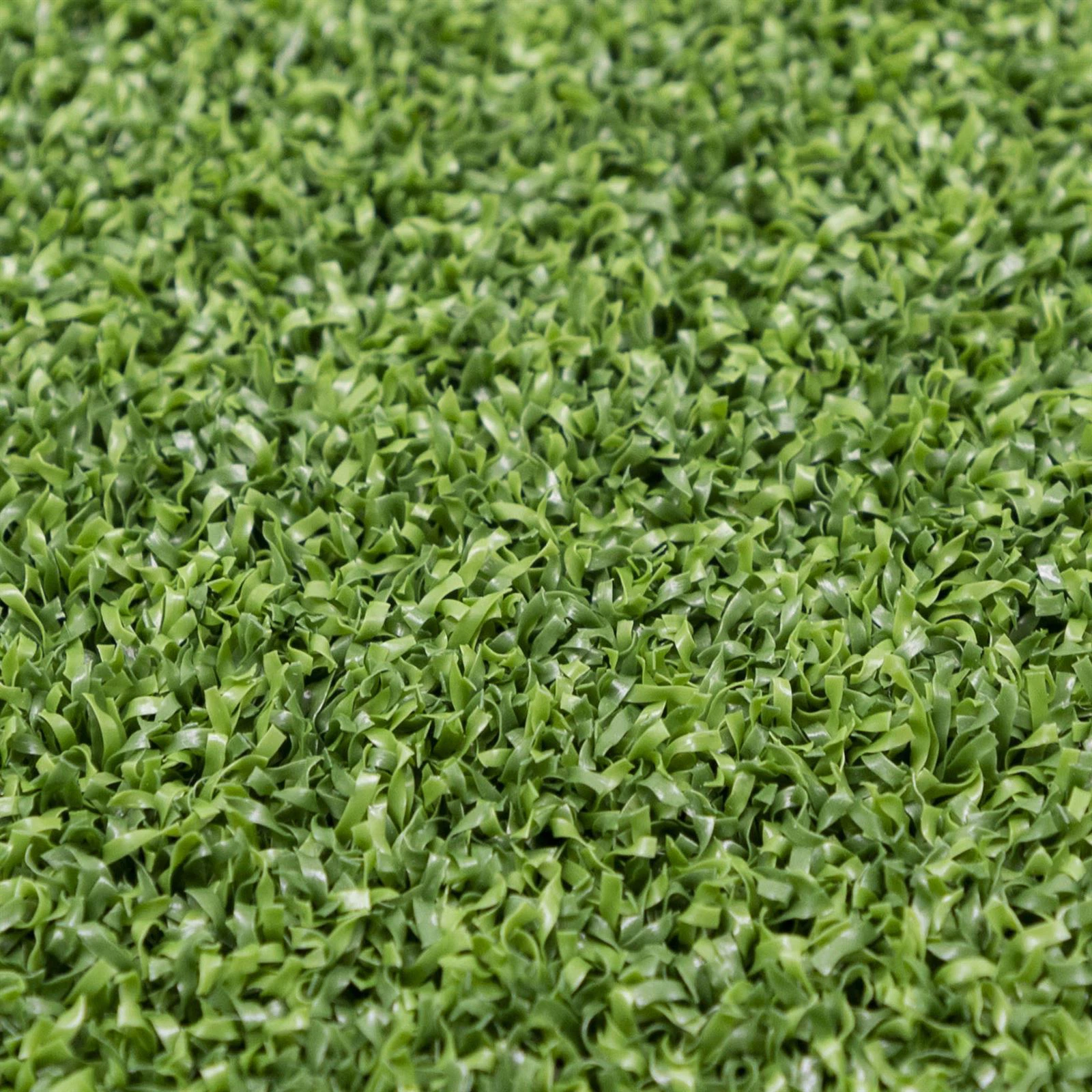 golf course grass for home golf course grass for home