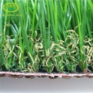 Taman Rumput Karpet