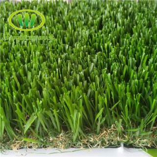 Turf Grass For Backyard