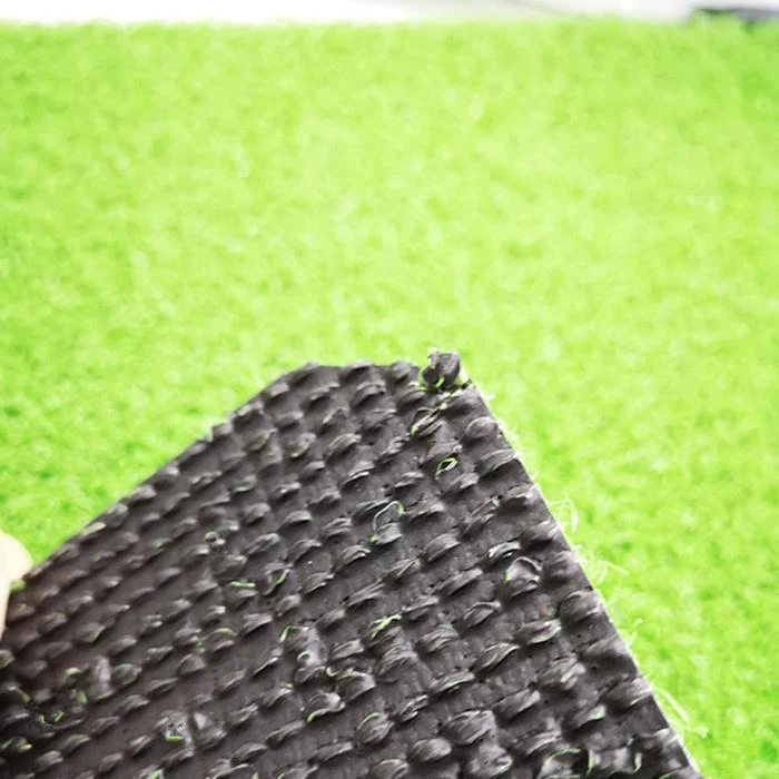 Backyard Golf Green