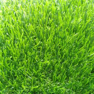Permaidani Turf Luaran