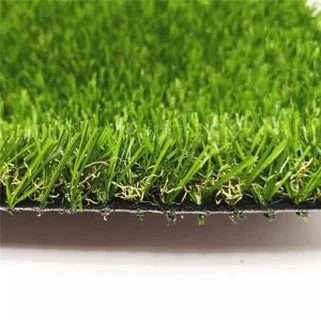 Rumput sintetik untuk rumah