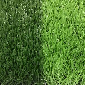Rumput Hijau Sintetik