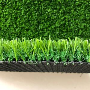 Rumput Buatan Turf