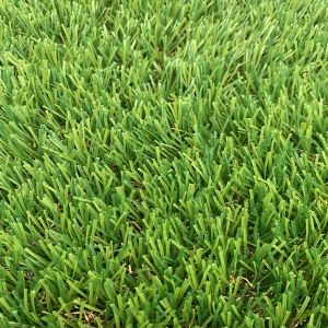Permaidani Rumput Artificia Turf