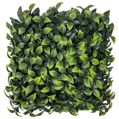 Wall Hedge palsu